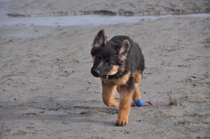 Fotos/2010vervolgTaylor/Cliff/DSC_0017[1].jpg